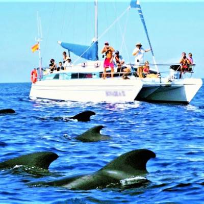 			Catamaran Rental Tenerife - Catamaran Rental in Tenerife for Groups