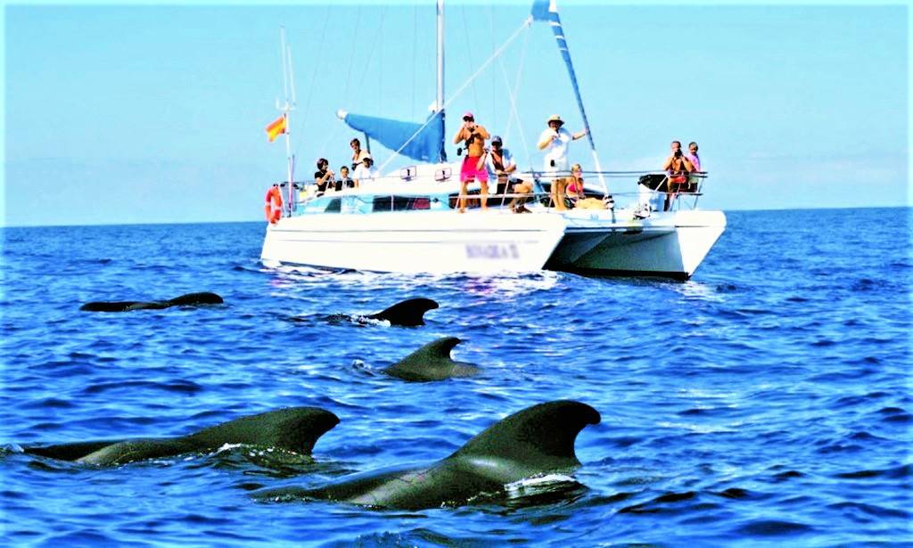 Catamaran Rental in Tenerife for Groups