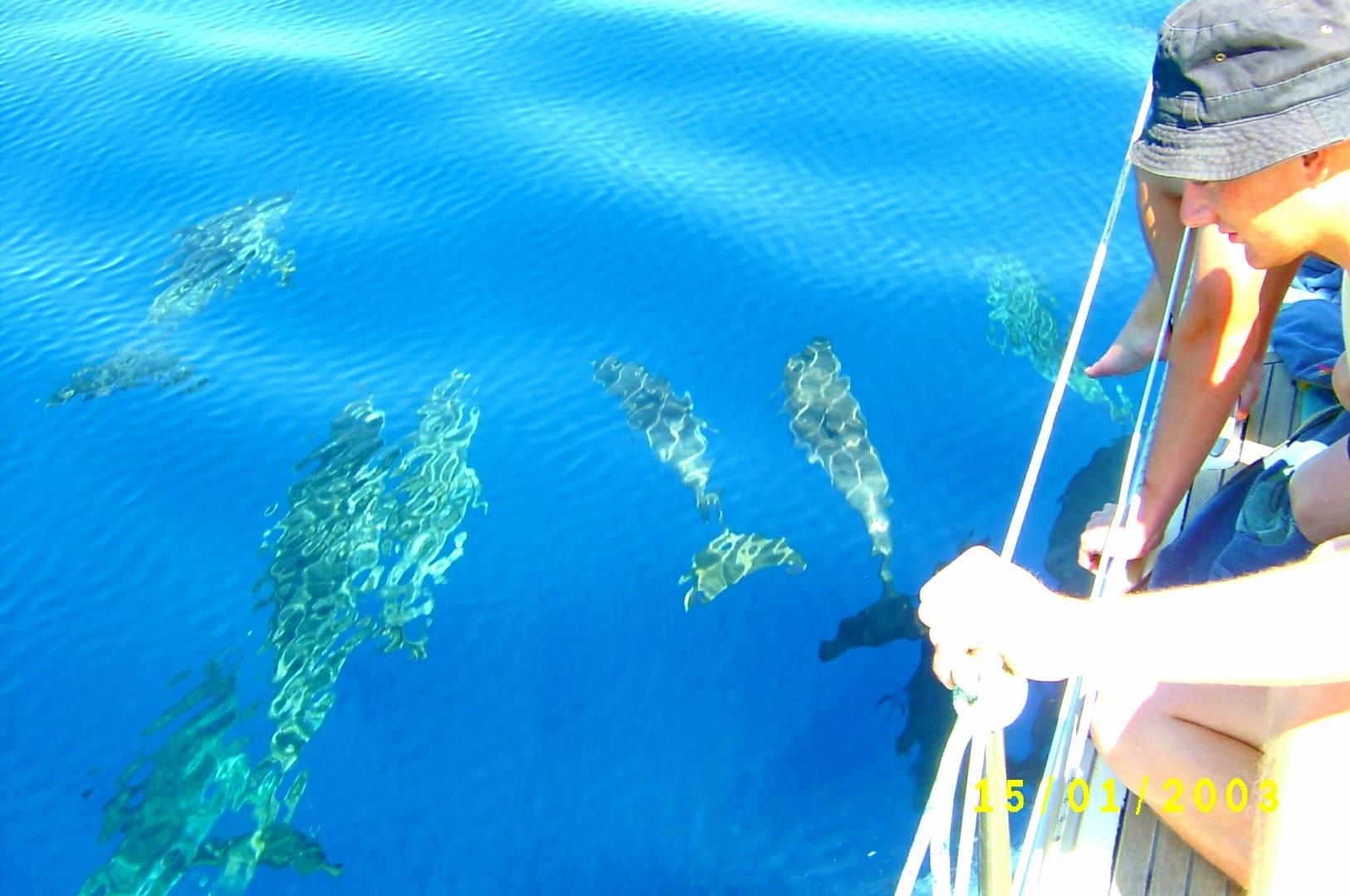 Tenerife Sailing Boat Charter with Kosamui whale watching