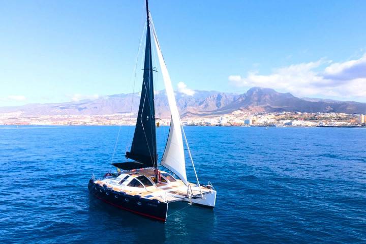 Alquiler de Catamarán Privado en Tenerife para 12 personas - 335  