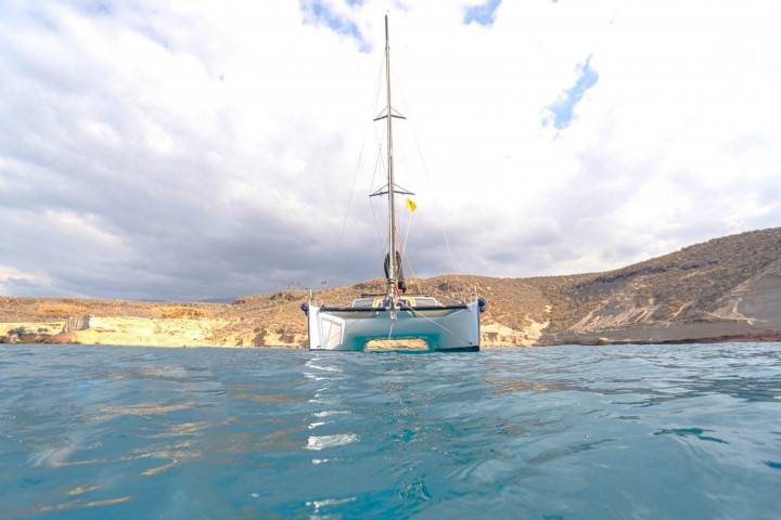 Alquiler de Catamarán Privado en Tenerife para 12 personas - 336  