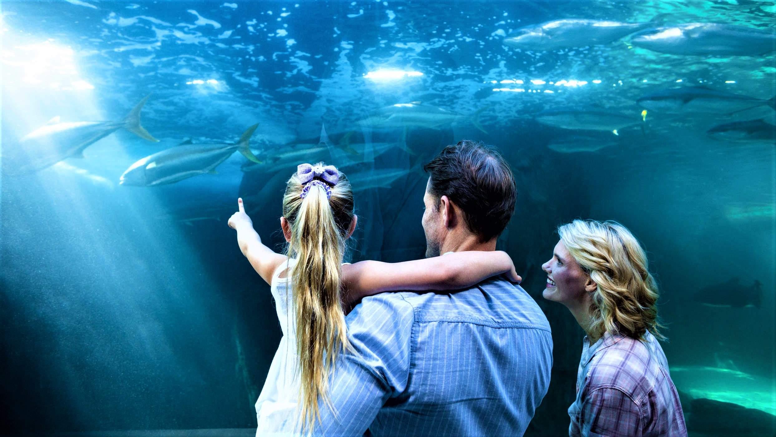 Aquarium Lanzarote Costa Teguise5.min