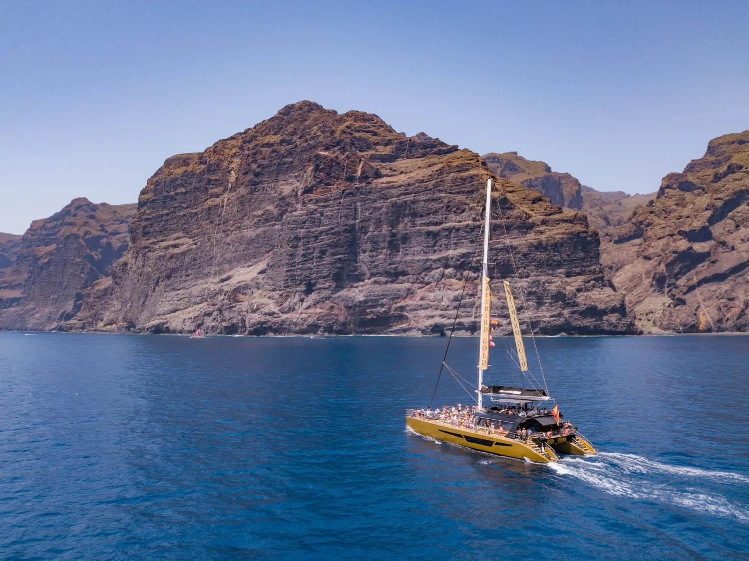 Freebird Tenerife Whale & Dolphine Watching Catamaran Tour10