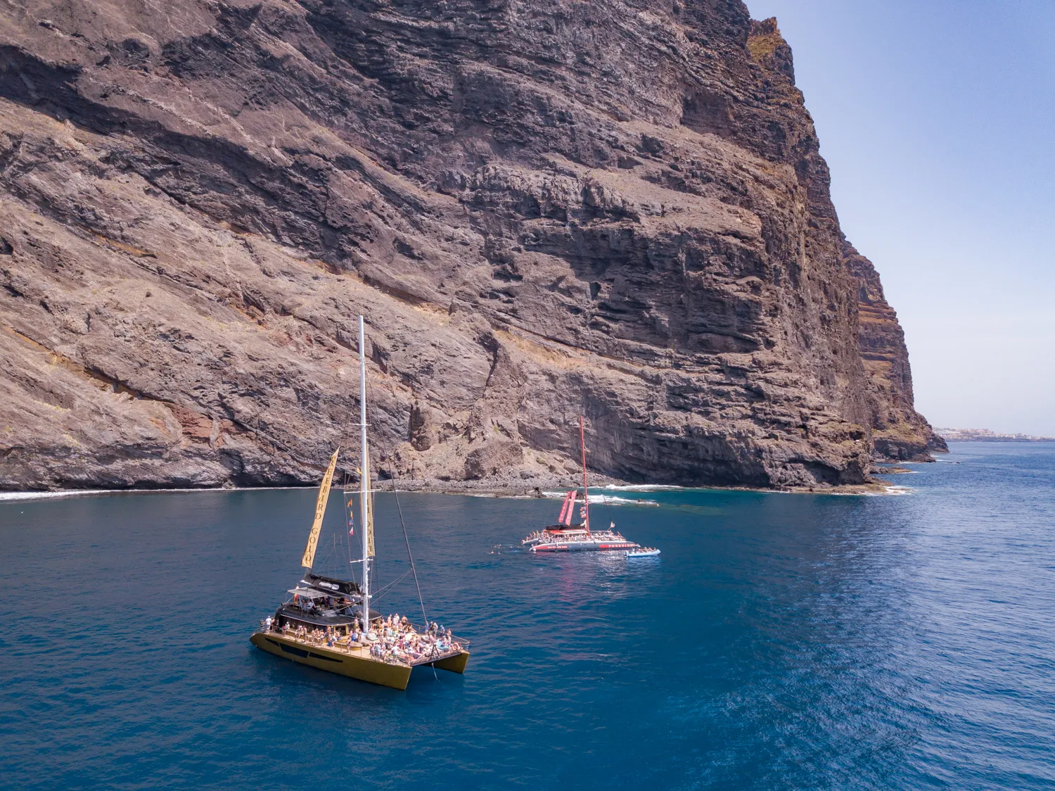 Freebird Tenerife Whale & Dolphine Watching Catamaran Tour11