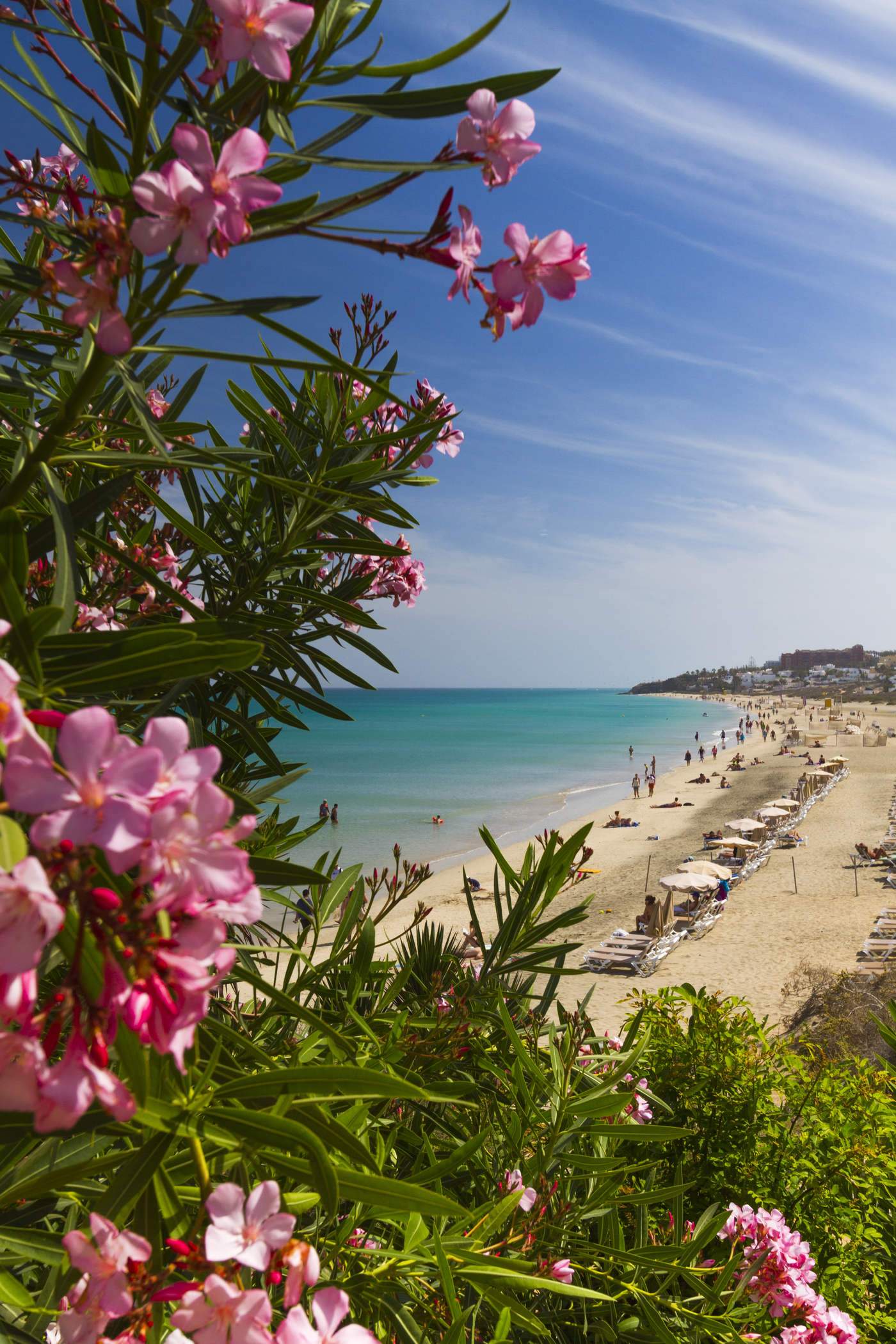 Fueteventura Beach - Playa del Matorral - Sotavente - Morrojable (2)