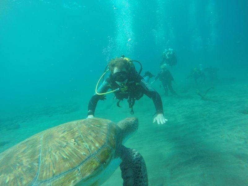"Exploración del fondo marino con actividad de snorkel y buceo en pareja"