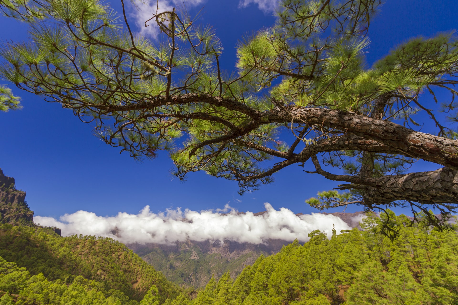 La Caldera de taburiente (2)-min
