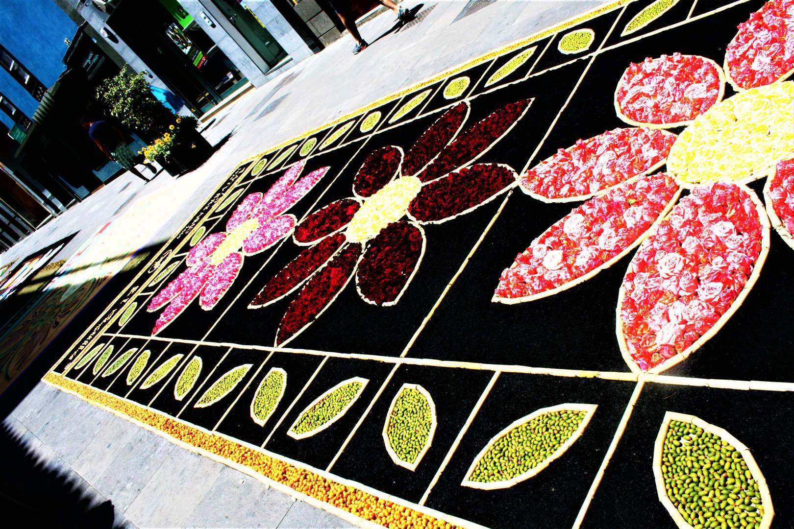 La Laguna - Teneriffa Nord