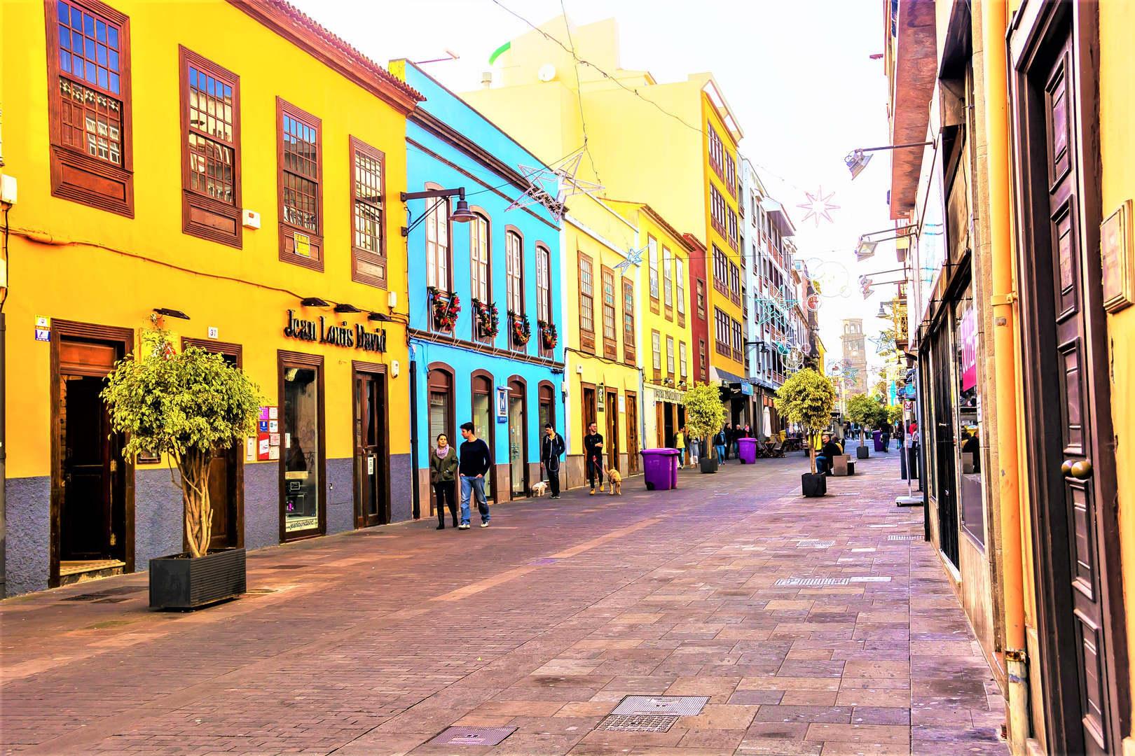 La Laguna - Tenerife North Private Tour