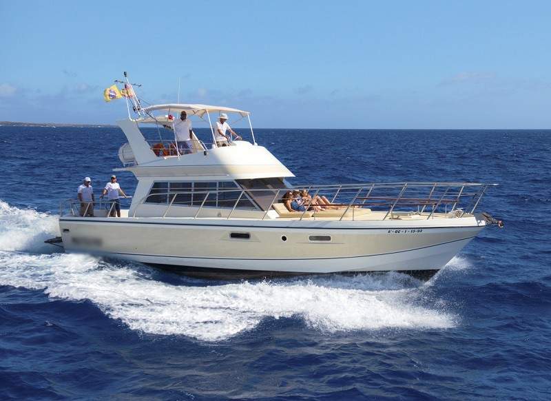 boat trips for your holidays in los cristianos