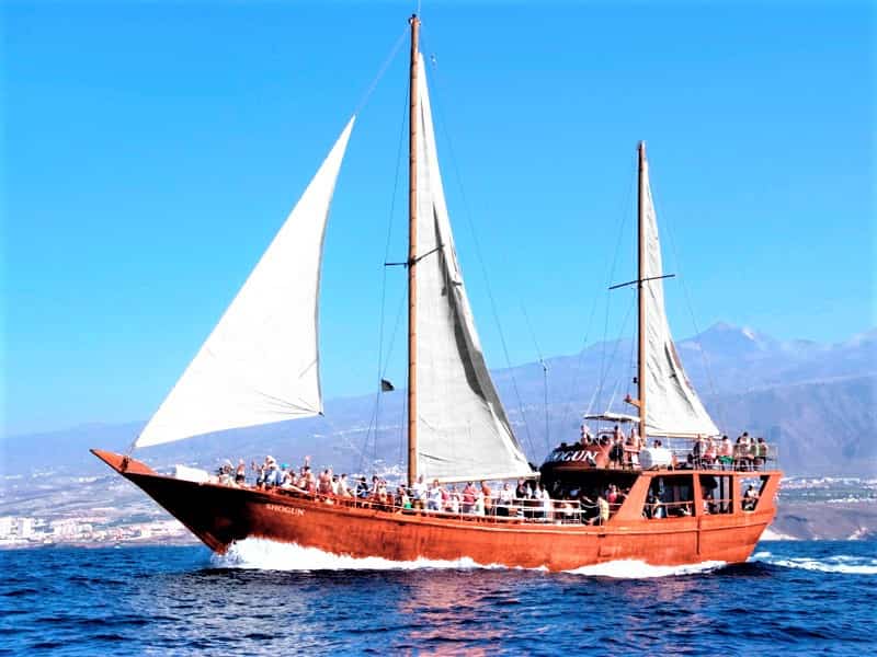 Neptuno Tenerife Boat Trip to Los Gigantes form North and South