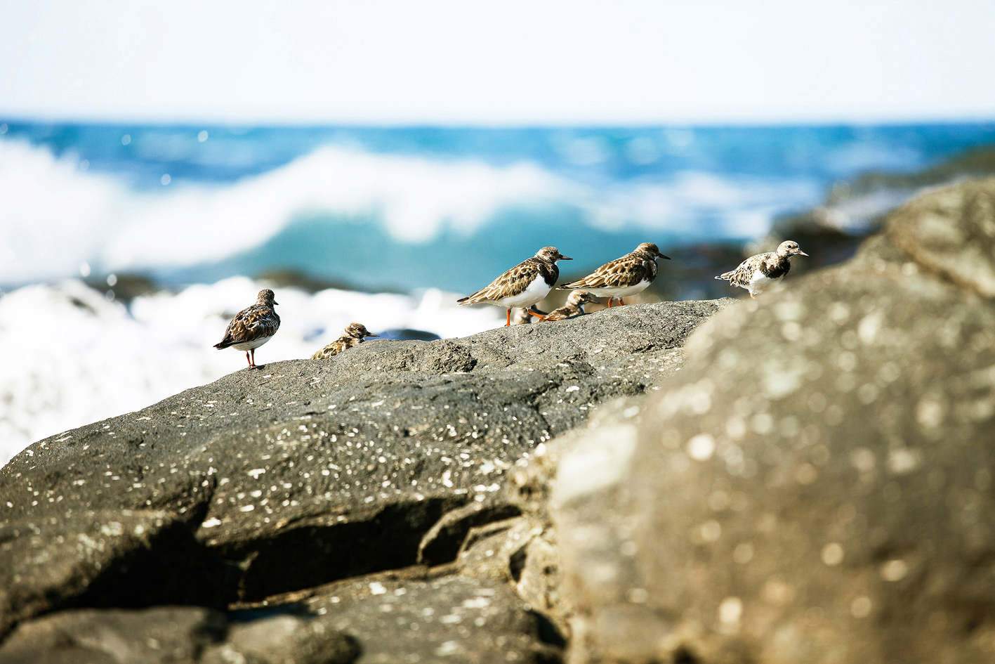 Piscinas Naturales en Agaete -.min