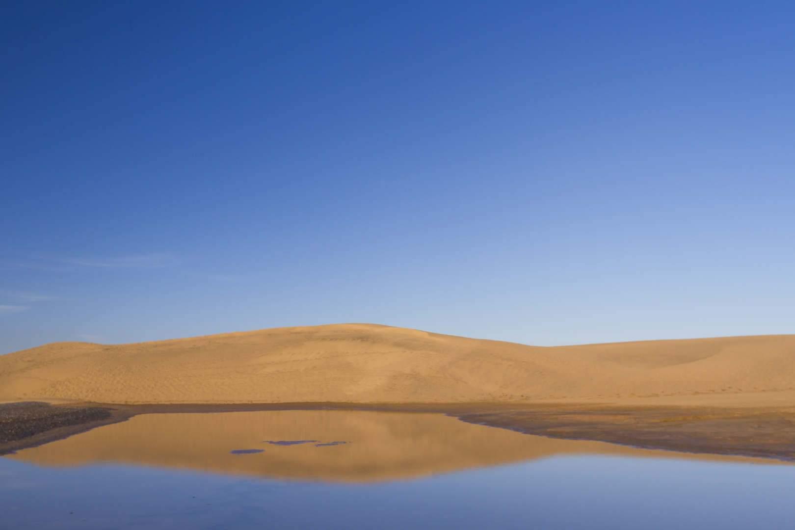 Reserva Natural Especial de Las Dunas de Maspalomas (7).min