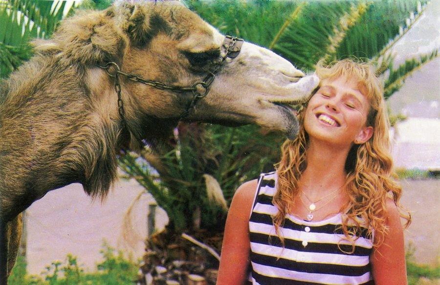 camel park in tenerife south