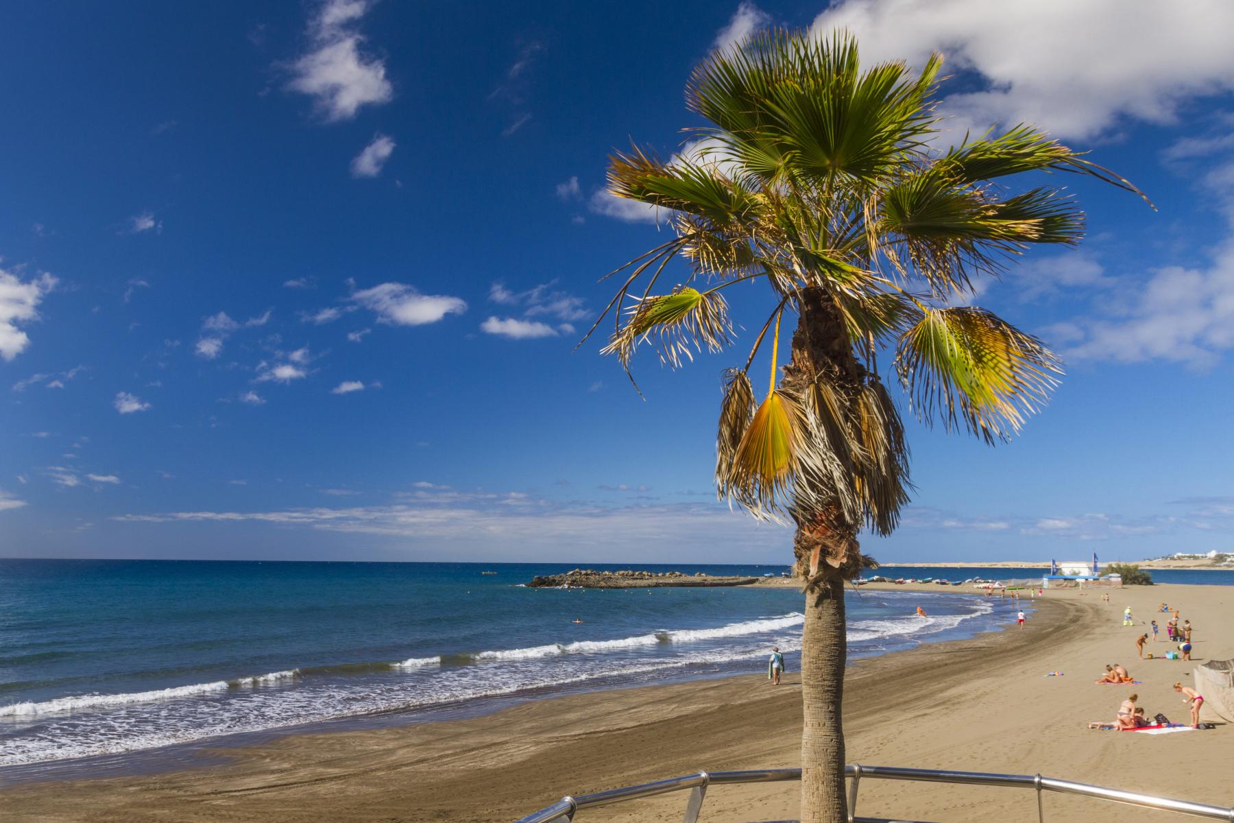 las burras gran canaria (1)