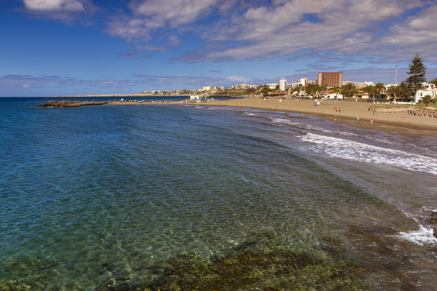 las burras gran canaria (2)