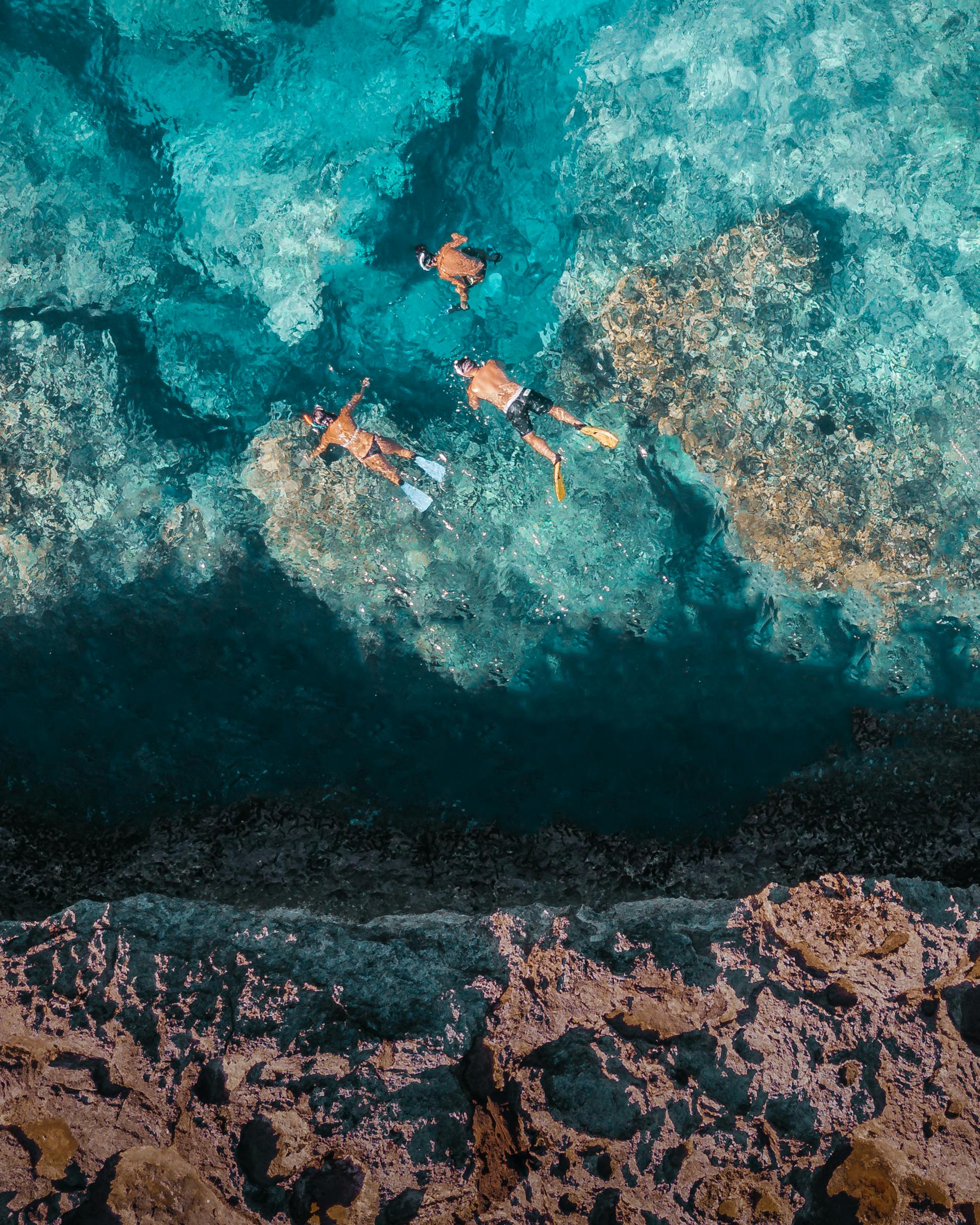 snorkeling fuerteventura